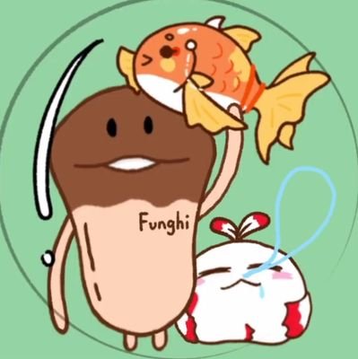 Funghi方吉